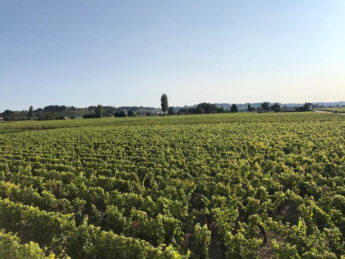 Clos De Bertinat Saint-Sulpice-de-Faleyrens Zewnętrze zdjęcie